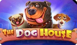 Reveryplay – The Dog House